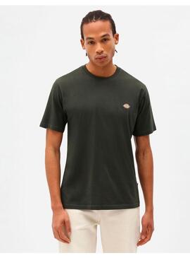 Camiseta Dickies Mapleton Verde